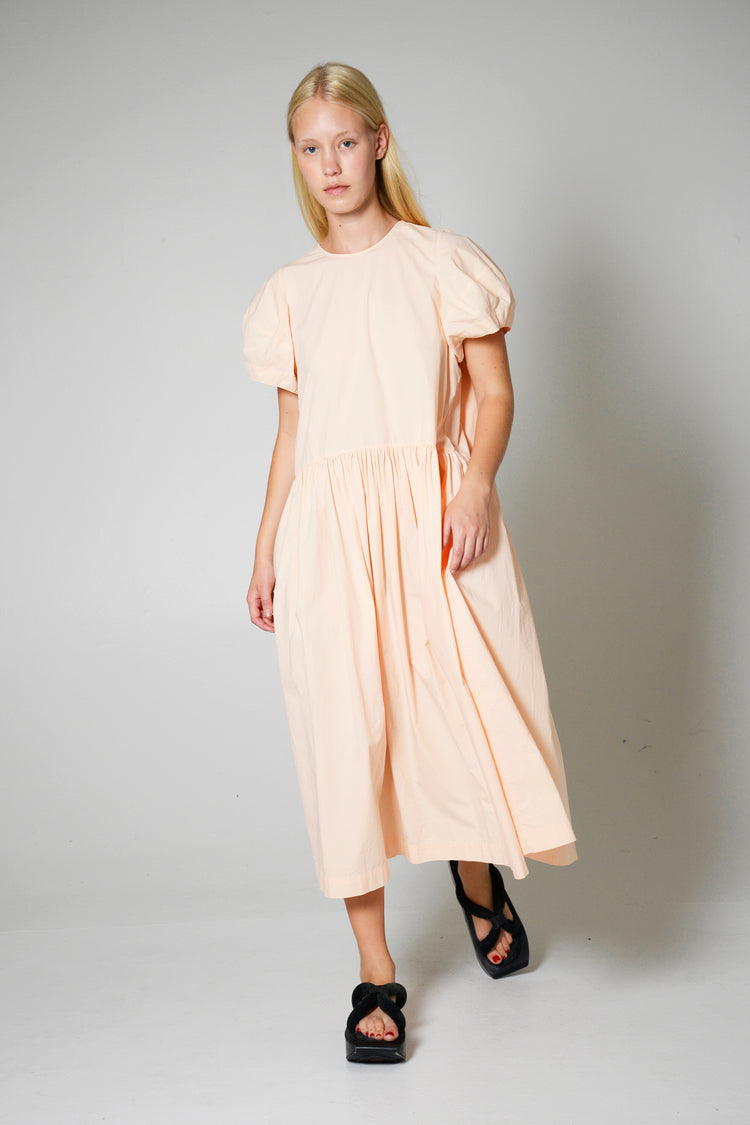 Morel Dress